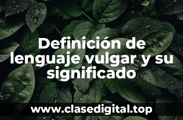 Definición de lenguaje vulgar y su significado
