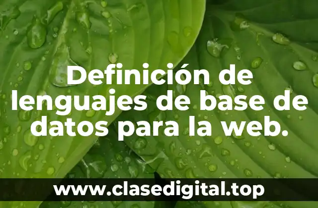 Definición de lenguajes de base de datos para la web.
