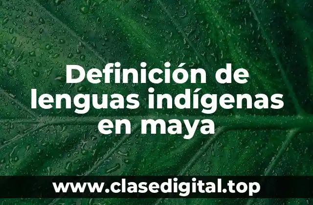 Definición de lenguas indígenas en maya