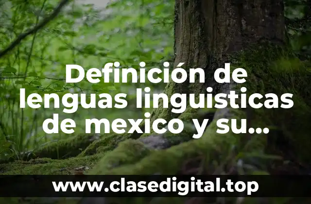Definición de lenguas linguisticas de mexico y su origen