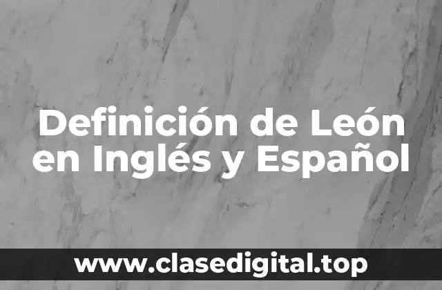 ✔️ Definición Técnica de León