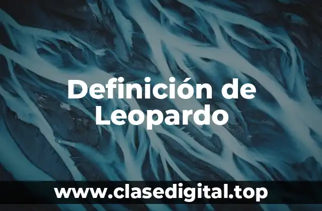 Definición de Leopardo