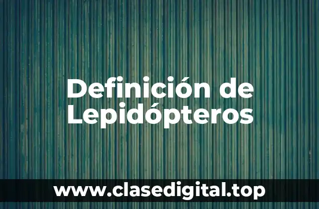 Definición de Lepidópteros