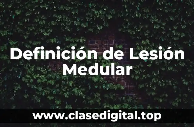 Definición de Lesión Medular