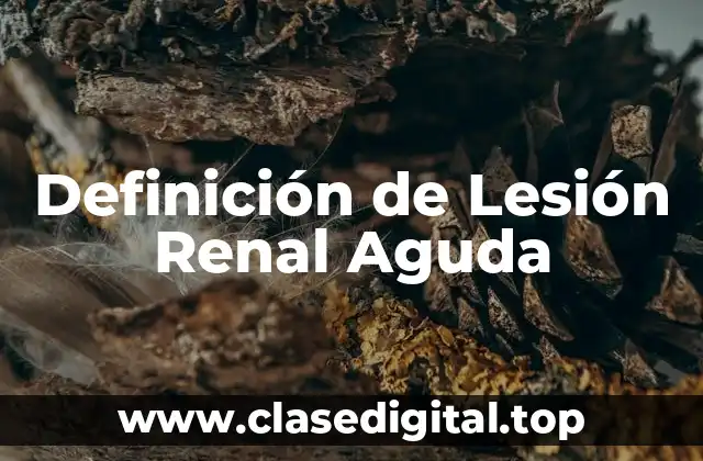 Definición de Lesión Renal Aguda