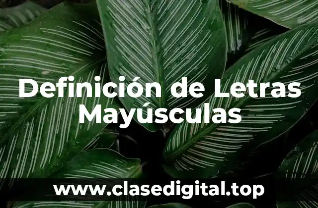 Definición de Letras Mayúsculas