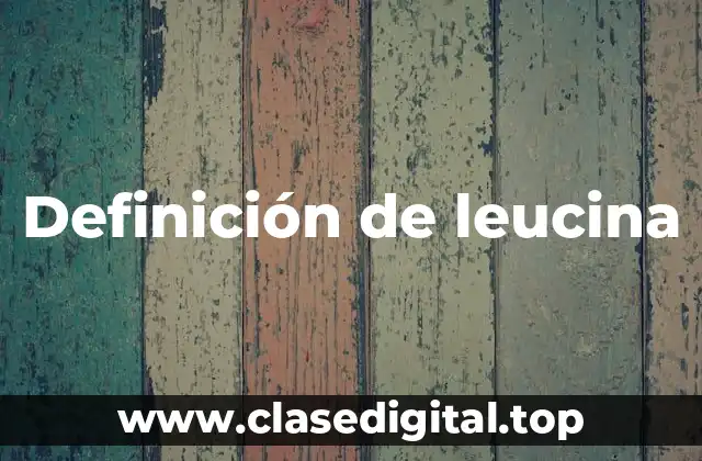 Definición de leucina