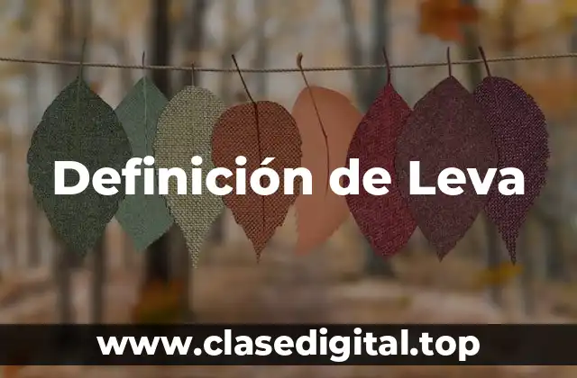 Definición de Leva