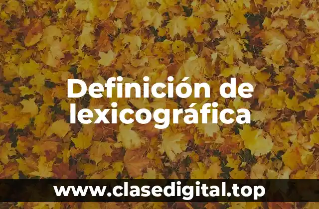 Ejemplos de lexicografía