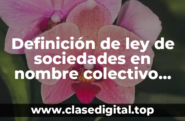 Definición de ley de sociedades en nombre colectivo mexicanas