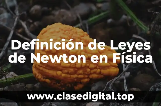 Definición de Leyes de Newton en Física