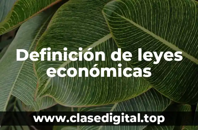 Definición de leyes económicas