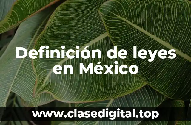Definición de leyes en México