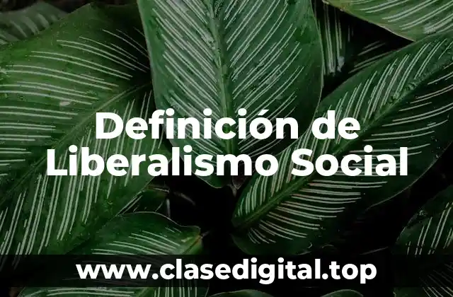 Definición de Liberalismo Social
