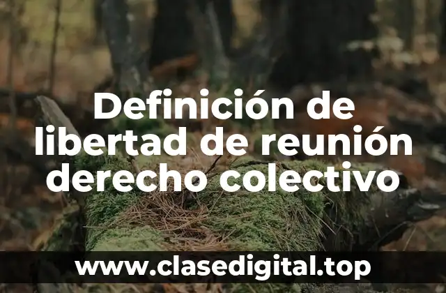 Definición de libertad de reunión derecho colectivo