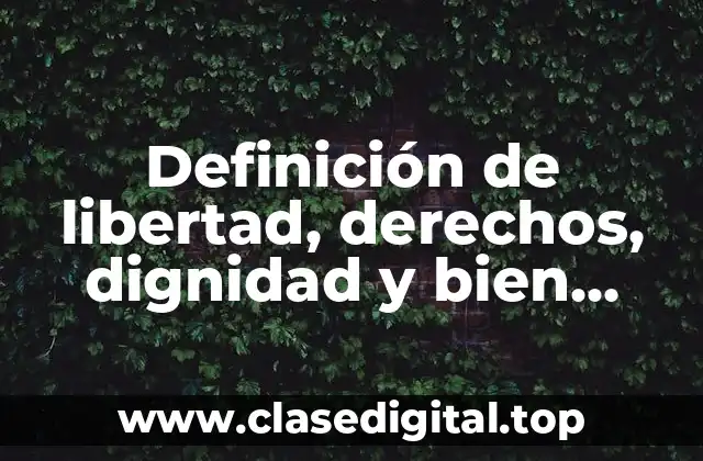 Definición de libertad, derechos, dignidad y bien común