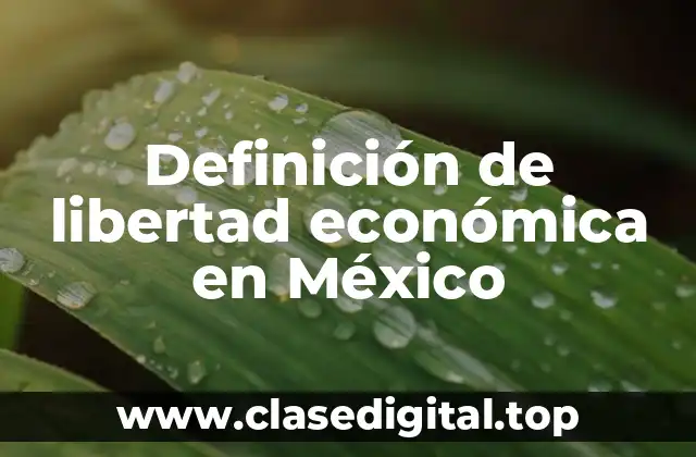 Definición de libertad económica en México