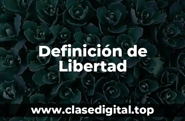 Definición de Libertad