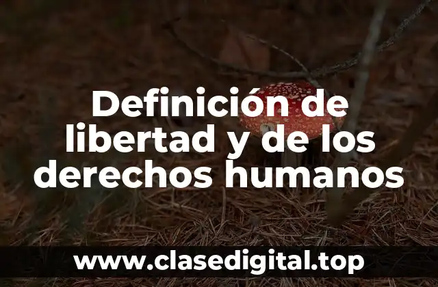 Definición de libertad y de los derechos humanos