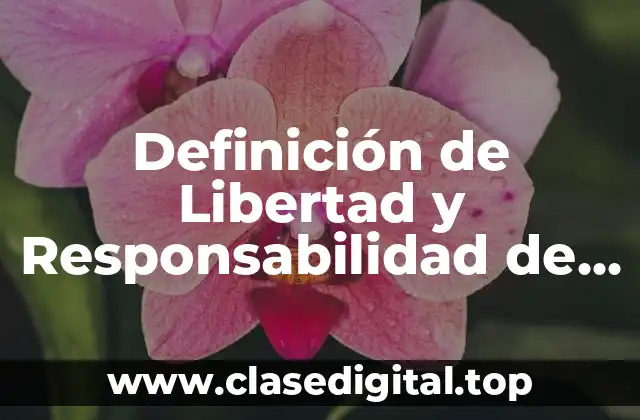 Definición de Libertad y Responsabilidad de un libro