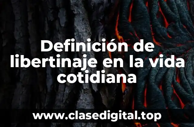 Definición de libertinaje en la vida cotidiana