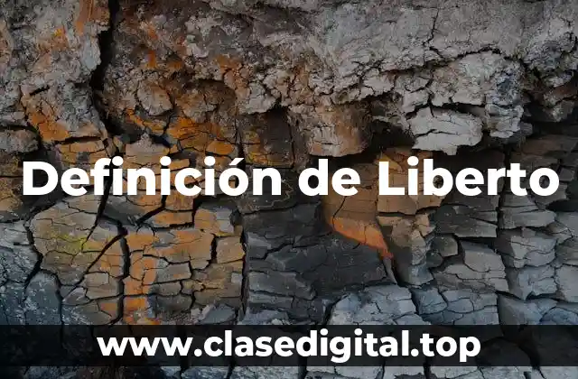 Definición de Liberto