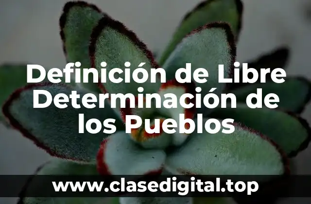 Definición de Libre Determinación de los Pueblos