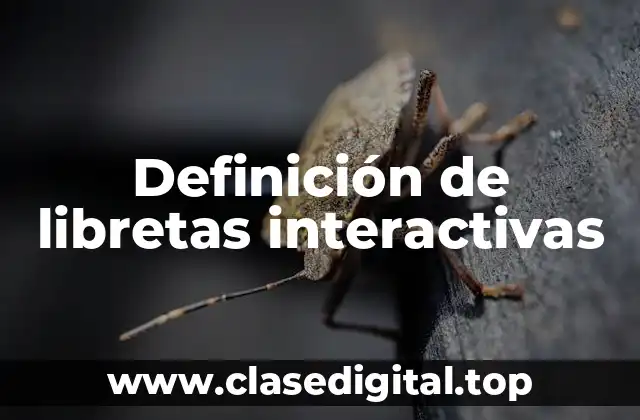 Definición de libretas interactivas