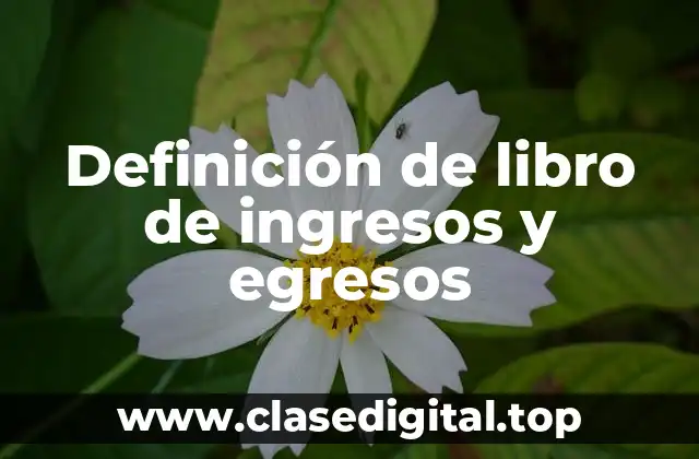 Ejemplos de libro de ingresos y egresos