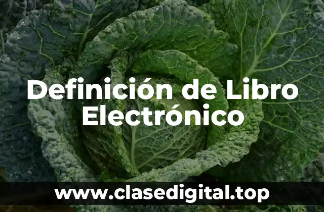 Definición de Libro Electrónico