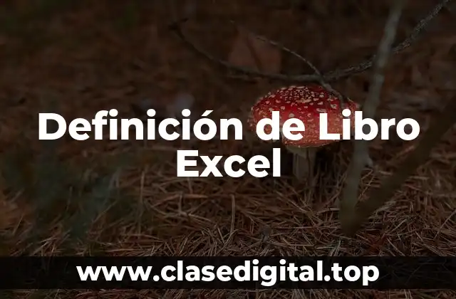 Definición de Libro Excel