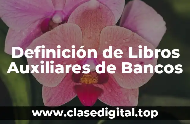 Definición de Libros Auxiliares de Bancos