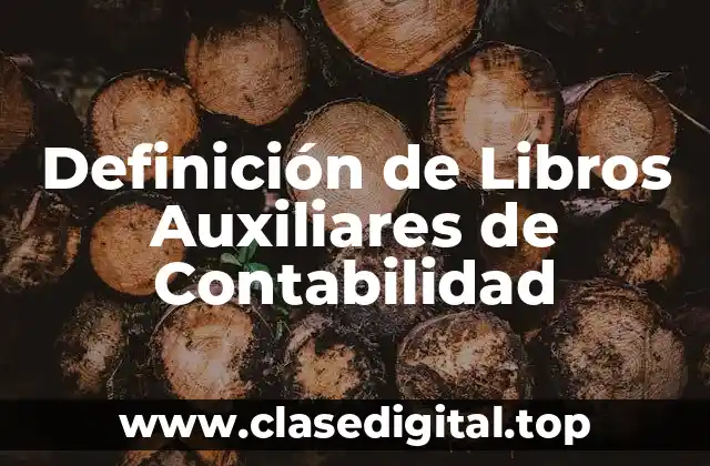 ❇️ Definición técnica de Libro Auxiliar de Contabilidad