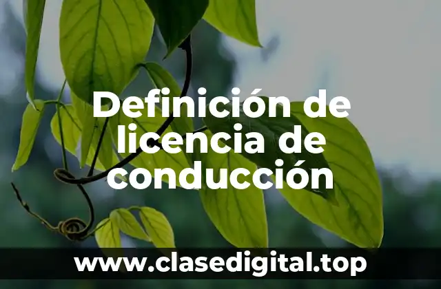 Definición de licencia de conducción