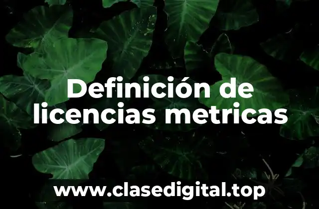 Definición de licencias metricas