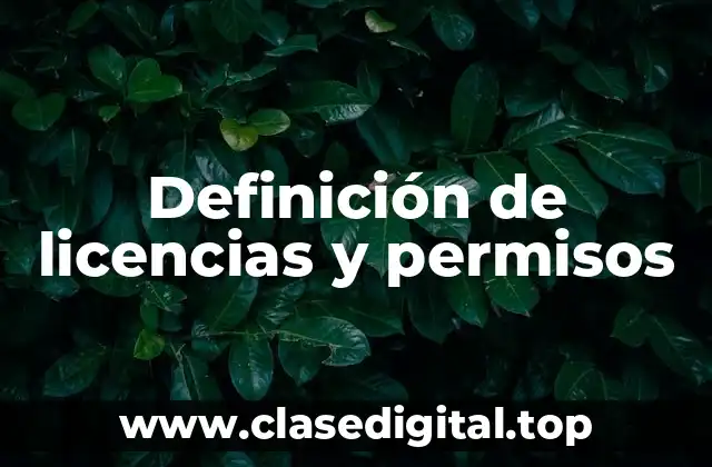 📗 Definición técnica de licencia y permiso