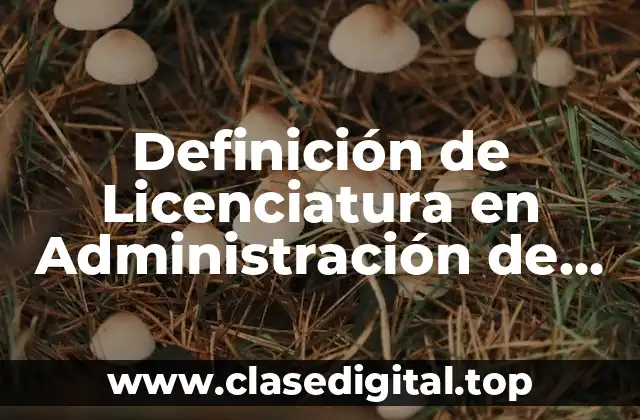 Definición de Licenciatura en Administración de Empresas