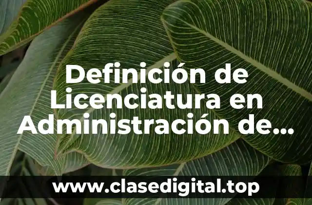 Definición de Licenciatura en Administración de Empresas Turísticos