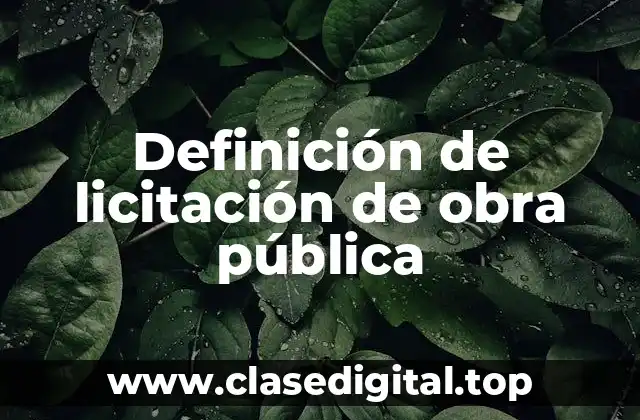 Definición de licitación de obra pública
