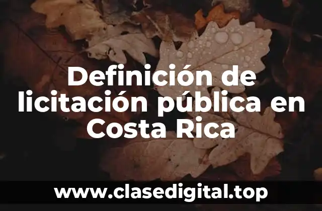 Ejemplos de licitación pública