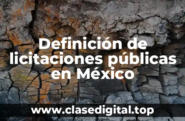 Definición de licitaciones públicas en México