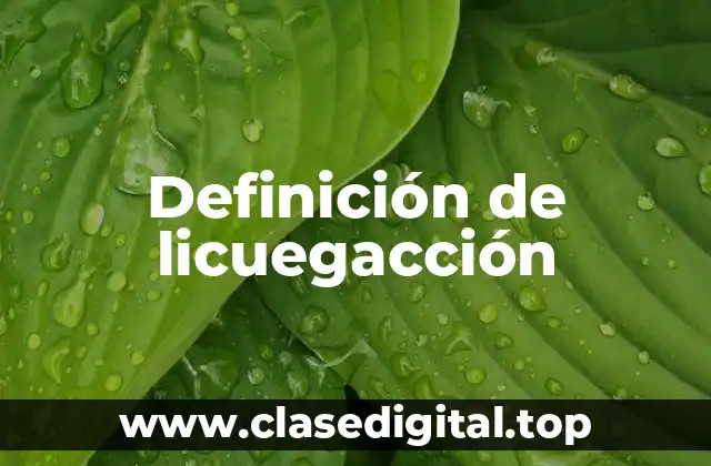 Definición de licuegacción
