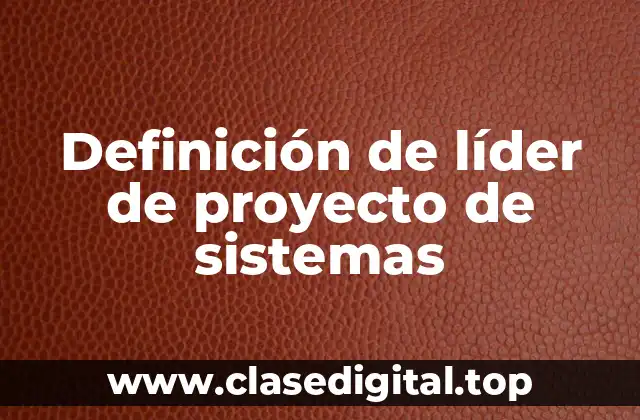 Definición de líder de proyecto de sistemas