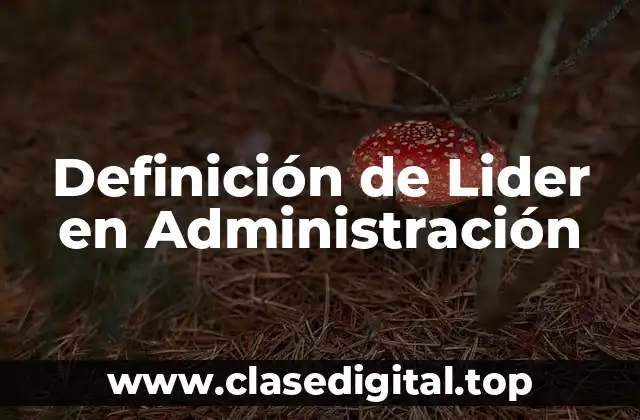 Definición de Lider en Administración
