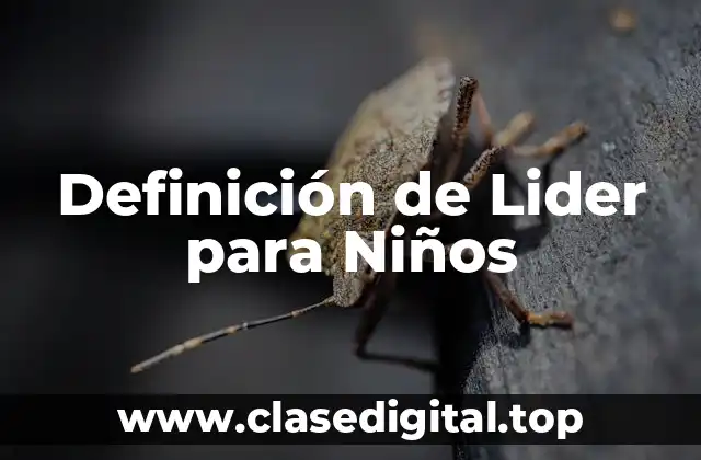 Definición de Lider para Niños