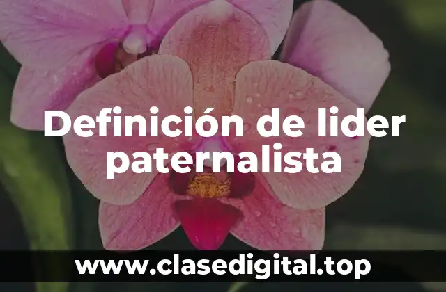 Definición de lider paternalista