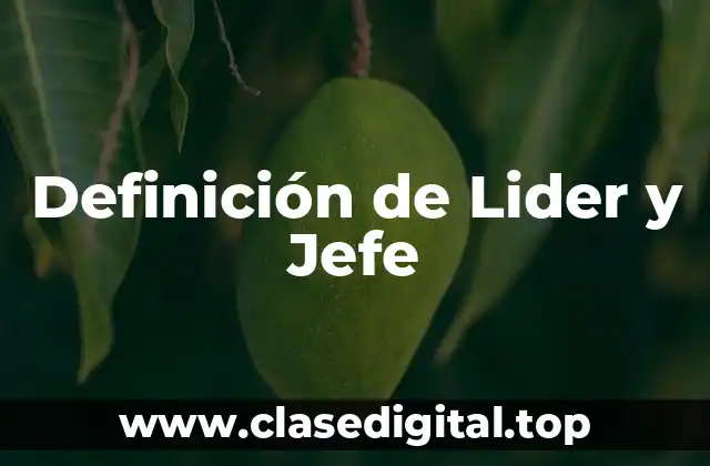 Definición de Lider y Jefe