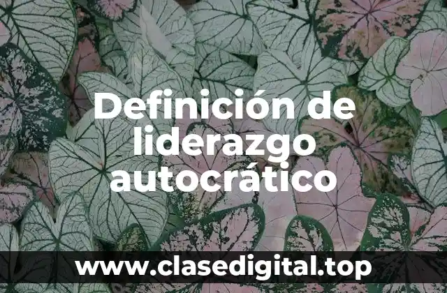 Ejemplos de liderazgo autocrático