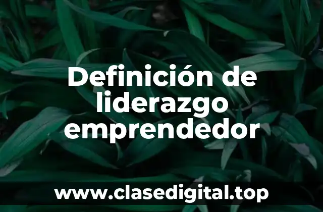 Definición de liderazgo emprendedor