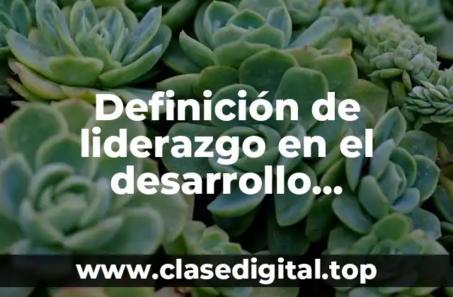 ✔️ Definición técnica de liderazgo en el desarrollo organizacional